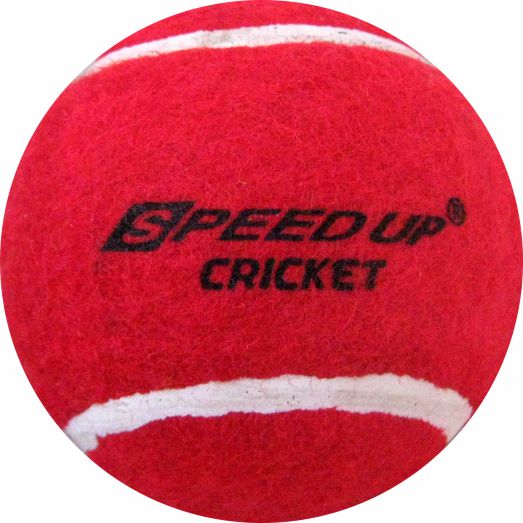 SpeedUp Sports T-20 Wooden Cricket Combo Set