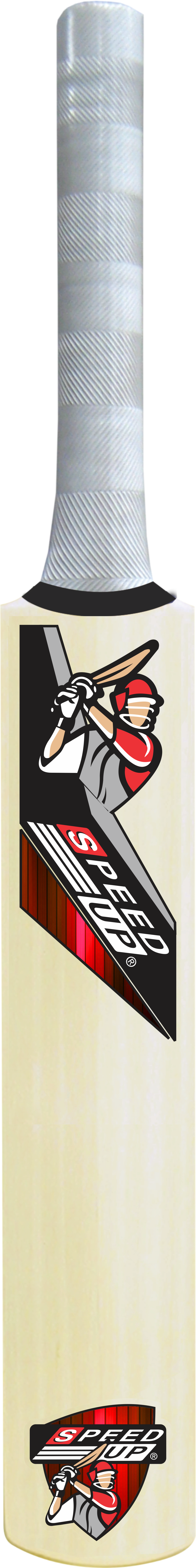 MasterShot Wooden Cricket Set