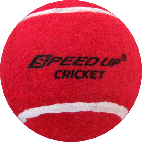 MasterShot Wooden Cricket Set