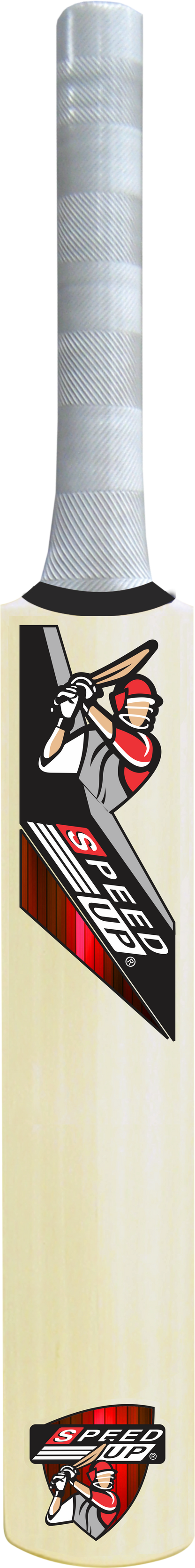 MasterShot Wooden Cricket Set
