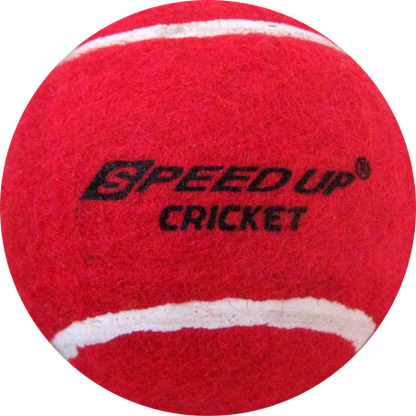 MasterShot Wooden Cricket Set