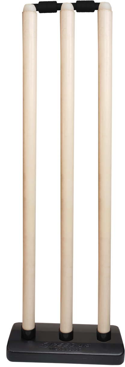 MasterShot Wooden Cricket Set